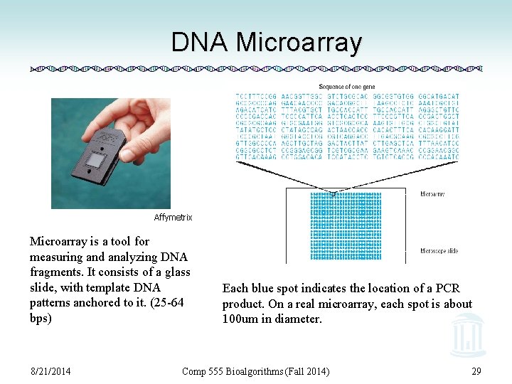 DNA Microarray Affymetrix Microarray is a tool for measuring and analyzing DNA fragments. It