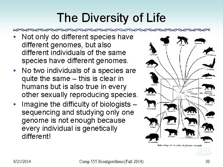 The Diversity of Life • Not only do different species have different genomes, but