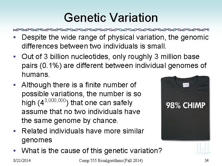 Genetic Variation • Despite the wide range of physical variation, the genomic differences between