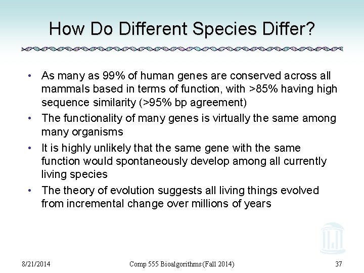 How Do Different Species Differ? • As many as 99% of human genes are