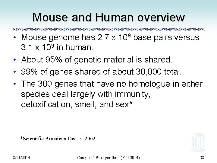 Mouse and Human overview • Mouse genome has 2. 7 x 109 base pairs