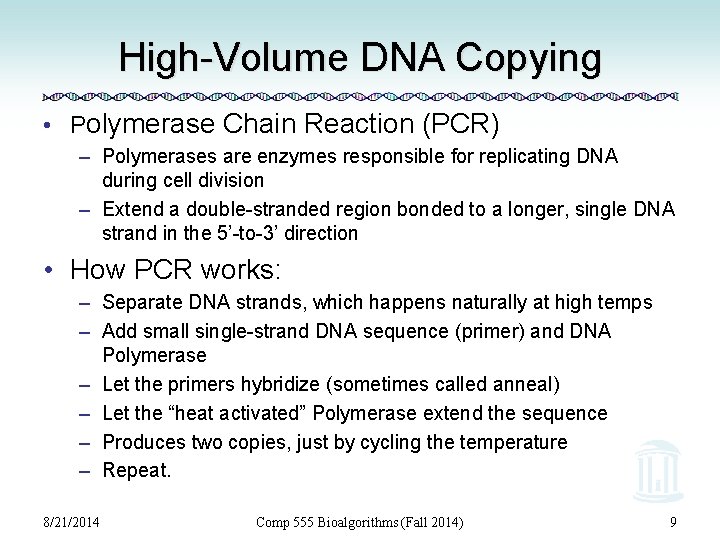 High-Volume DNA Copying • Polymerase Chain Reaction (PCR) – Polymerases are enzymes responsible for