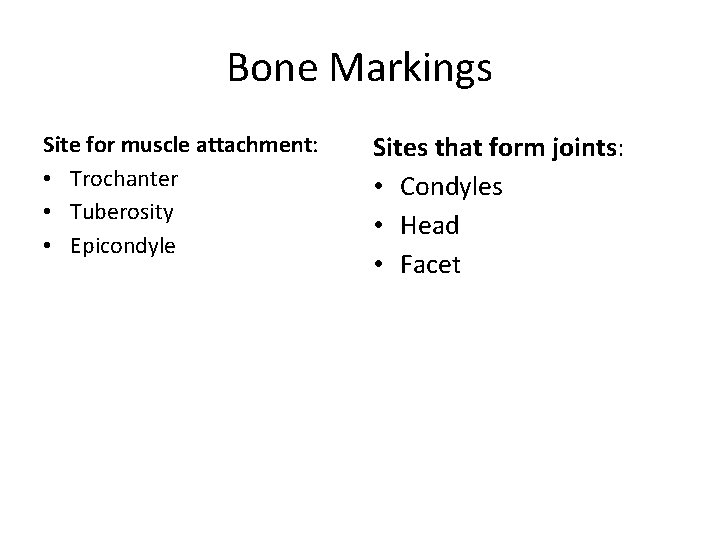 Bone Markings Site for muscle attachment: • Trochanter • Tuberosity • Epicondyle Sites that