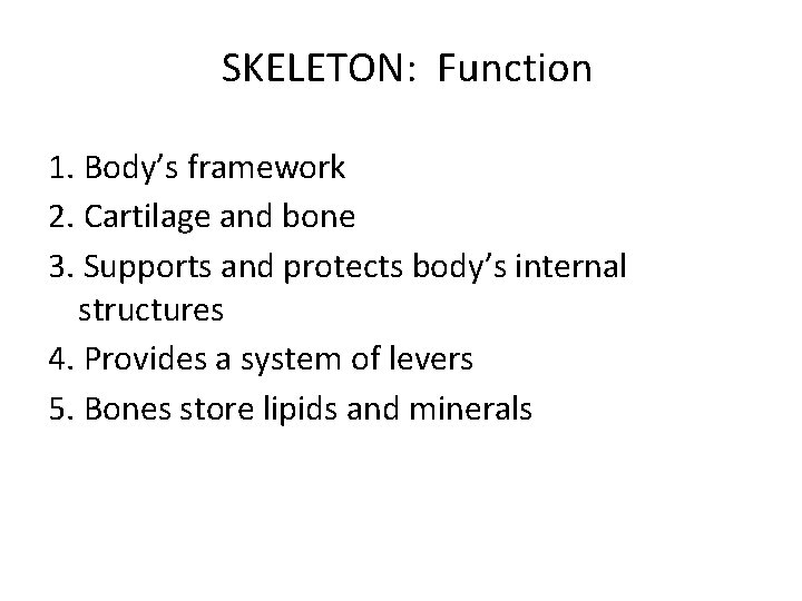 SKELETON: Function 1. Body’s framework 2. Cartilage and bone 3. Supports and protects body’s