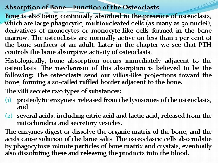 Absorption of Bone—Function of the Osteoclasts Bone is also being continually absorbed in the