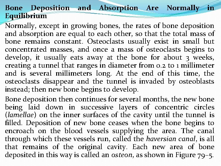 Bone Deposition and Absorption Are Normally in Equilibrium Normally, except in growing bones, the