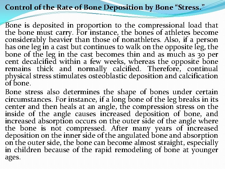 Control of the Rate of Bone Deposition by Bone “Stress. ” Bone is deposited