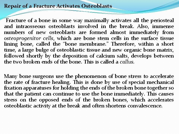 Repair of a Fracture Activates Osteoblasts Fracture of a bone in some way maximally