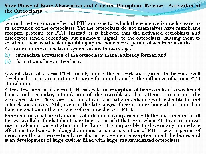 Slow Phase of Bone Absorption and Calcium Phosphate Release—Activation of the Osteoclasts A much