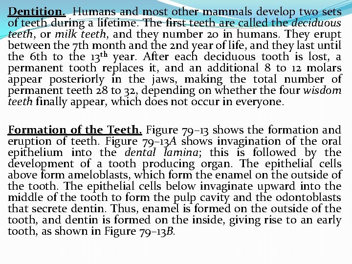 Dentition. Humans and most other mammals develop two sets of teeth during a lifetime.