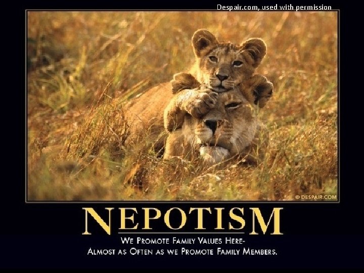 Despair. com, used with permission 