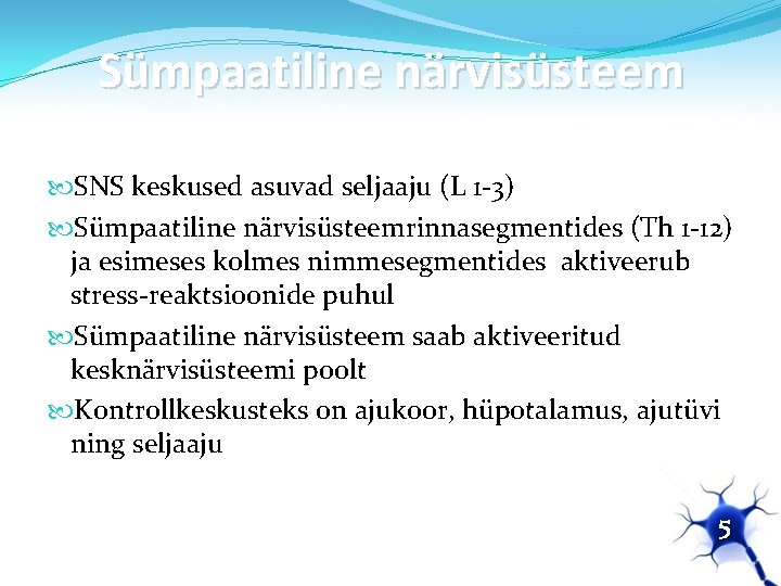 Sümpaatiline närvisüsteem SNS keskused asuvad seljaaju (L 1 -3) Sümpaatiline närvisüsteemrinnasegmentides (Th 1 -12)