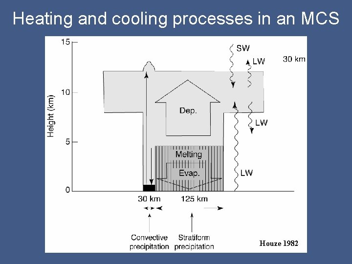 Heating and cooling processes in an MCS Houze 1982 