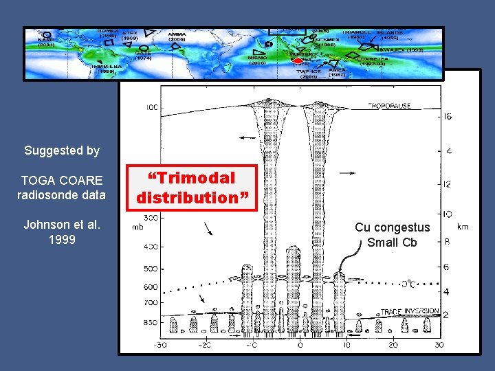 Suggested by TOGA COARE radiosonde data Johnson et al. 1999 “Trimodal distribution” Cu congestus