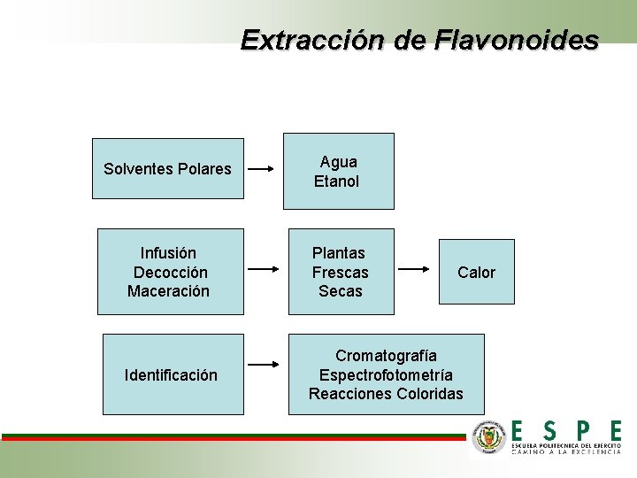 Extracción de Flavonoides Solventes Polares Agua Etanol Infusión Decocción Maceración Plantas Frescas Secas Identificación