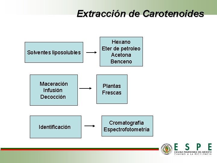 Extracción de Carotenoides Solventes liposolubles Hexano Eter de petroleo Acetona Benceno Maceración Infusión Decocción