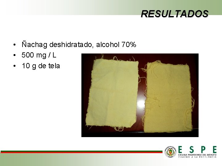 RESULTADOS • Ñachag deshidratado, alcohol 70% • 500 mg / L • 10 g