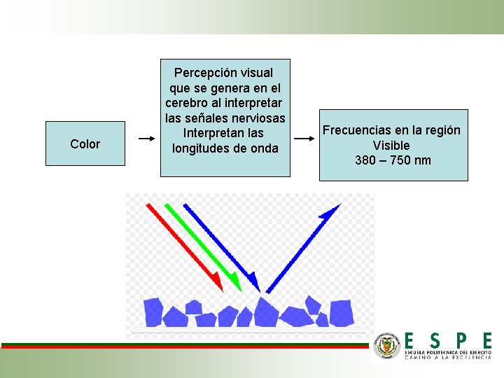 Color Percepción visual que se genera en el cerebro al interpretar las señales nerviosas