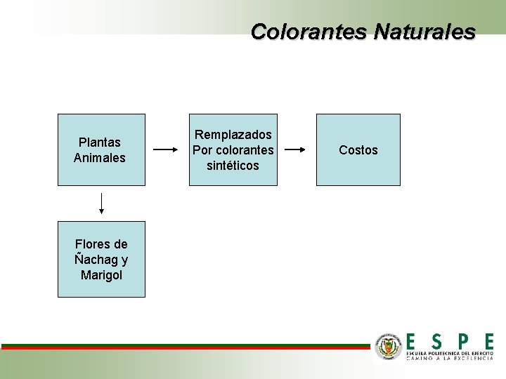 Colorantes Naturales Plantas Animales Flores de Ñachag y Marigol Remplazados Por colorantes sintéticos Costos