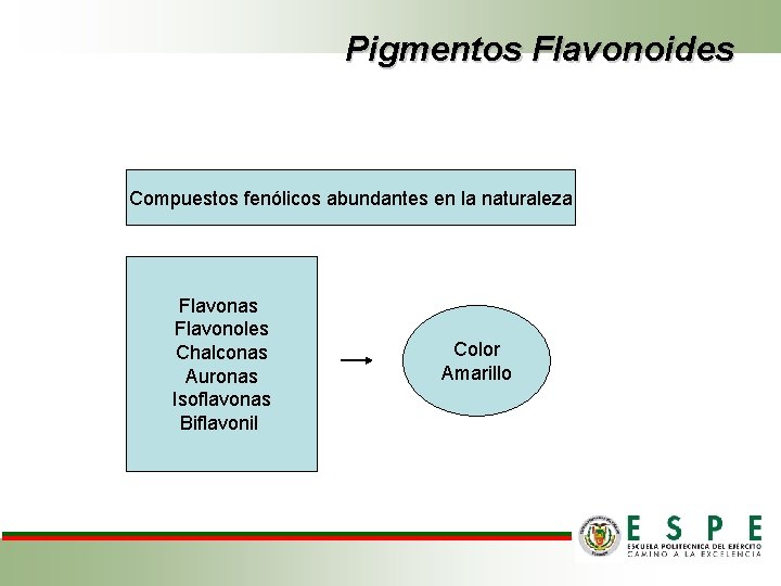 Pigmentos Flavonoides Compuestos fenólicos abundantes en la naturaleza Flavonas Flavonoles Chalconas Auronas Isoflavonas Biflavonil