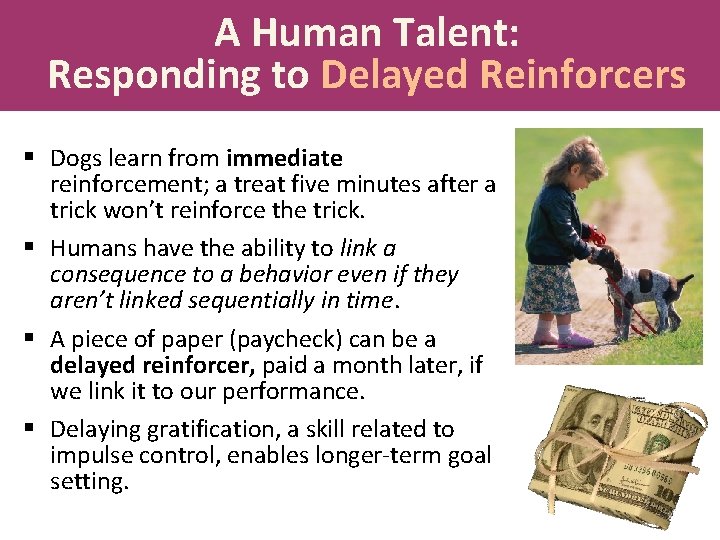 A Human Talent: Responding to Delayed Reinforcers § Dogs learn from immediate reinforcement; a