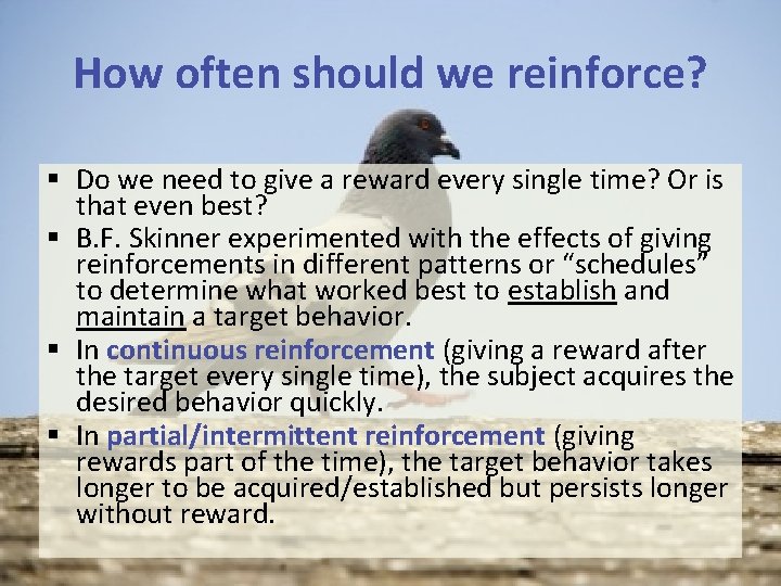How often should we reinforce? § Do we need to give a reward every