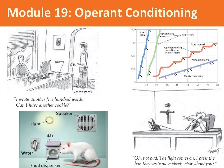 Module 19: Operant Conditioning 