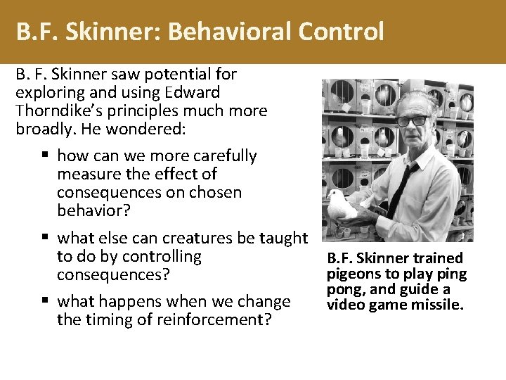 B. F. Skinner: Behavioral Control B. F. Skinner saw potential for exploring and using