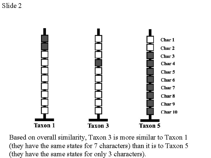 Slide 2 Based on overall similarity, Taxon 3 is more similar to Taxon 1