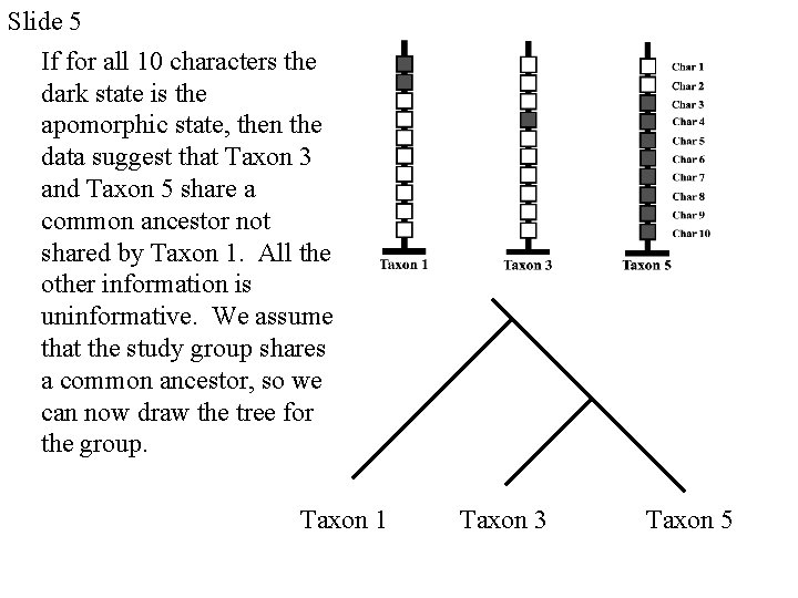 Slide 5 If for all 10 characters the dark state is the apomorphic state,