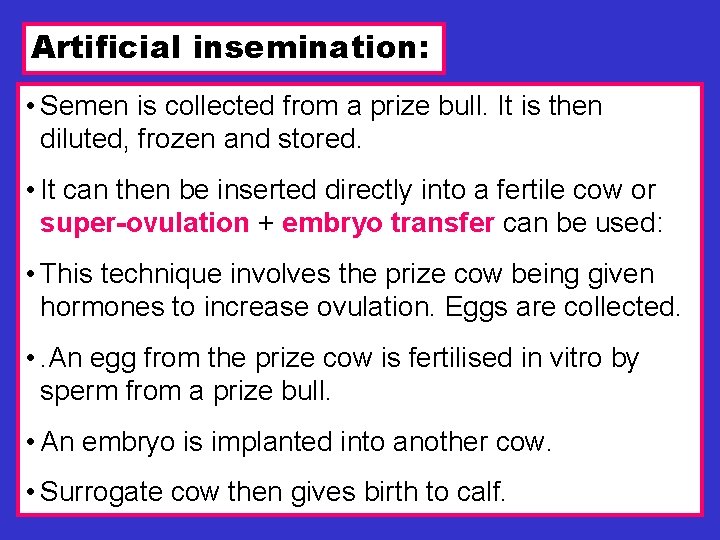 Artificial insemination: • Semen is collected from a prize bull. It is then diluted,