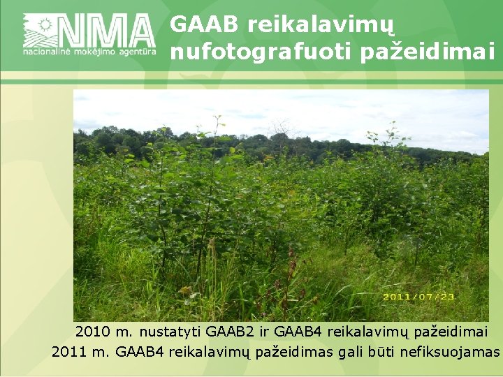 GAAB reikalavimų nufotografuoti pažeidimai 2010 m. nustatyti GAAB 2 ir GAAB 4 reikalavimų pažeidimai