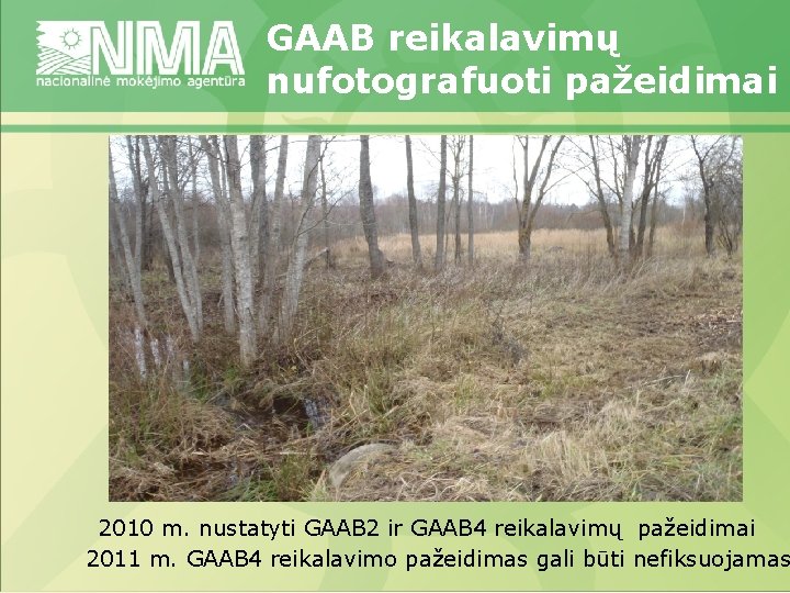 GAAB reikalavimų nufotografuoti pažeidimai 2010 m. nustatyti GAAB 2 ir GAAB 4 reikalavimų pažeidimai