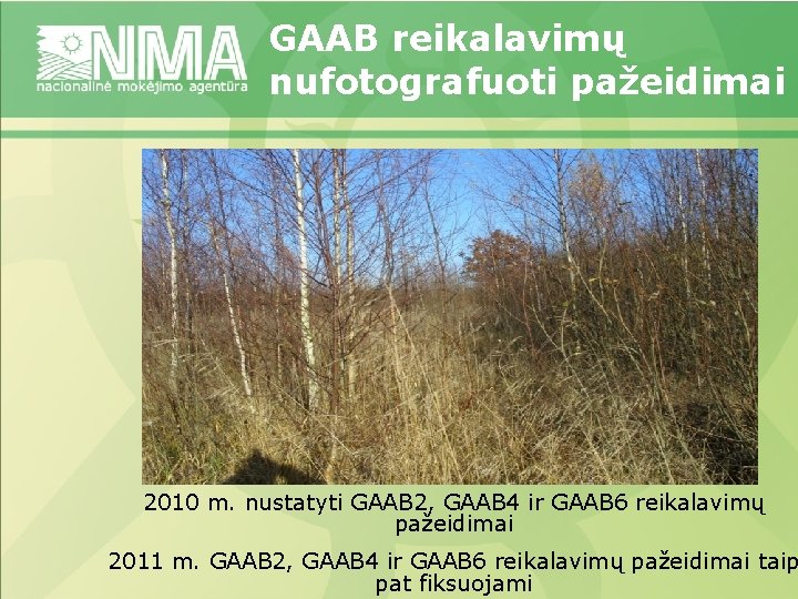 GAAB reikalavimų nufotografuoti pažeidimai 2010 m. nustatyti GAAB 2, GAAB 4 ir GAAB 6