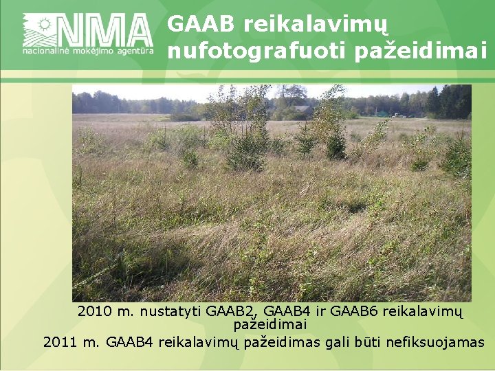 GAAB reikalavimų nufotografuoti pažeidimai 2010 m. nustatyti GAAB 2, GAAB 4 ir GAAB 6