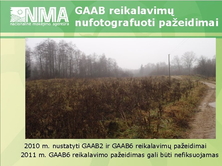 GAAB reikalavimų nufotografuoti pažeidimai 2010 m. nustatyti GAAB 2 ir GAAB 6 reikalavimų pažeidimai