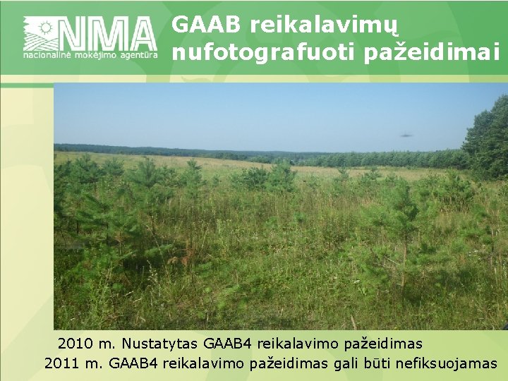 GAAB reikalavimų nufotografuoti pažeidimai 2010 m. Nustatytas GAAB 4 reikalavimo pažeidimas 2011 m. GAAB