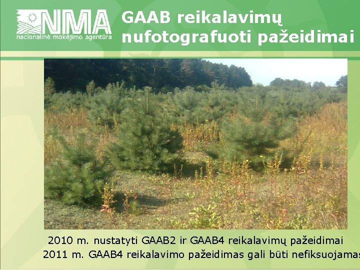 GAAB reikalavimų nufotografuoti pažeidimai 2010 m. nustatyti GAAB 2 ir GAAB 4 reikalavimų pažeidimai