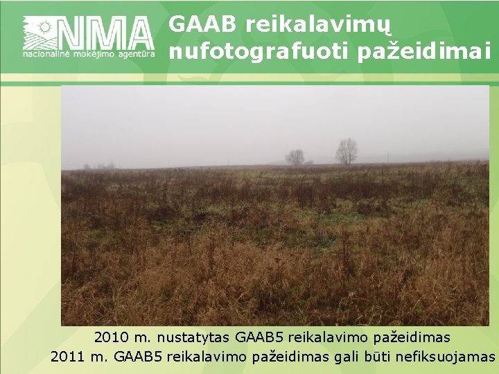 GAAB reikalavimų nufotografuoti pažeidimai 2010 m. nustatytas GAAB 5 reikalavimo pažeidimas 2011 m. GAAB