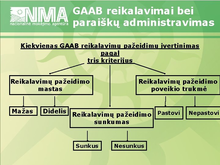 GAAB reikalavimai bei paraiškų administravimas Kiekvienas GAAB reikalavimų pažeidimų įvertinimas pagal tris kriterijus Reikalavimų