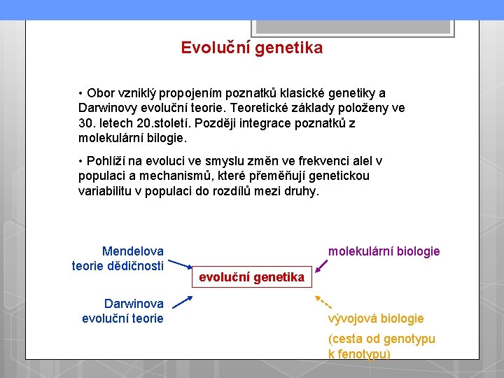 Evoluční genetika • Obor vzniklý propojením poznatků klasické genetiky a Darwinovy evoluční teorie. Teoretické