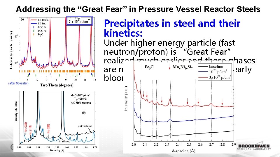Addressing the “Great Fear” in Pressure Vessel Reactor Steels Precipitates in steel and their
