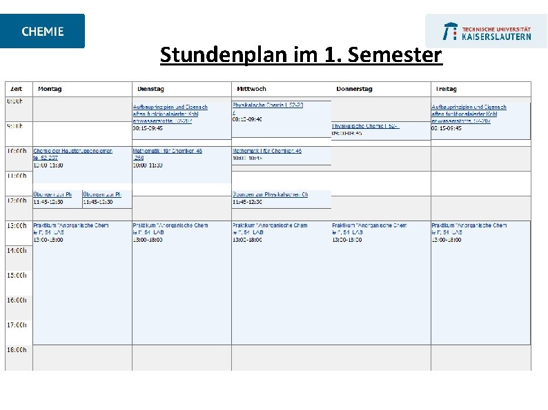 Stundenplan im 1. Semester 