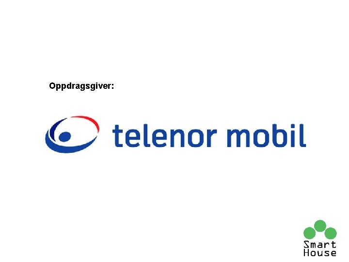 Oppdragsgiver: Oppdragsgiver: