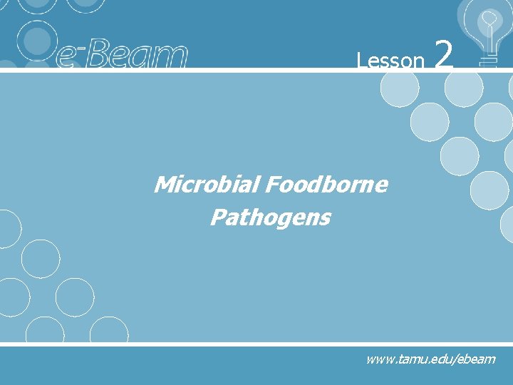 Lesson 2 Microbial Foodborne Pathogens www. tamu. edu/ebeam 