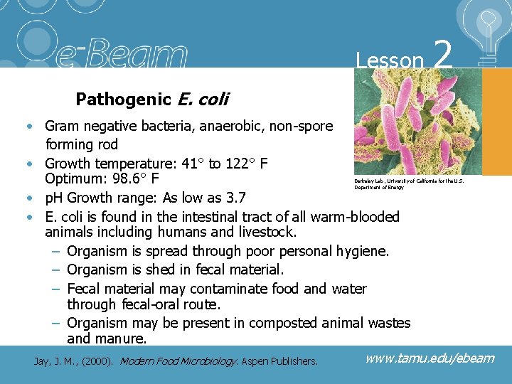 Lesson 2 Pathogenic E. coli • Gram negative bacteria, anaerobic, non-spore forming rod •