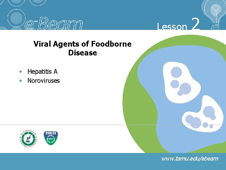 Lesson 2 Viral Agents of Foodborne Disease • Hepatitis A • Noroviruses www. tamu.
