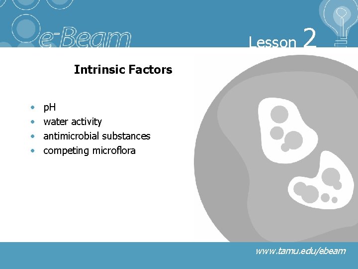Lesson 2 Intrinsic Factors • • p. H water activity antimicrobial substances competing microflora