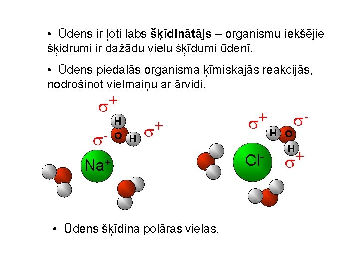  • Ūdens ir ļoti labs šķīdinātājs – organismu iekšējie šķidrumi ir dažādu vielu