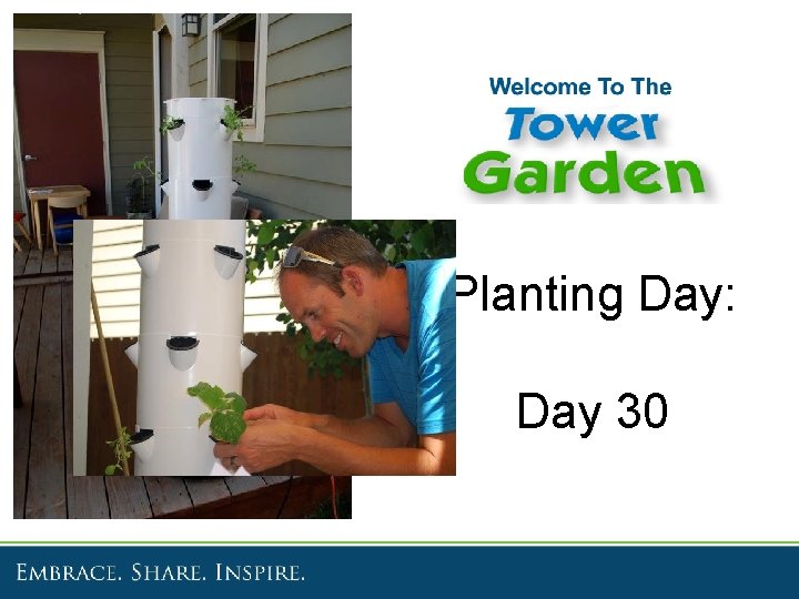 Planting Day: Day 30 